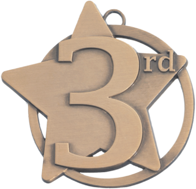 Bronze Star Medal