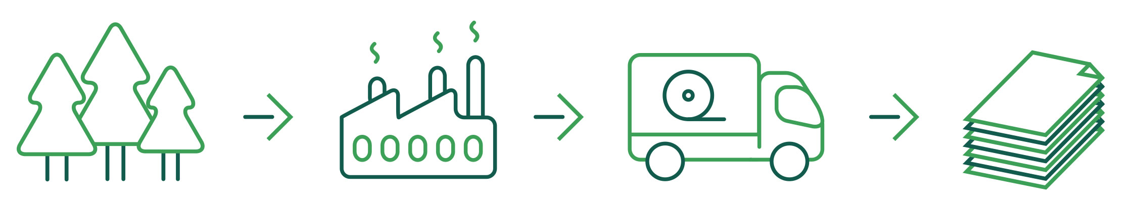 First 4 Numbers - The FSC Process