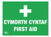 Welsh First Aid 18x24" (A2)