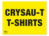 Welsh T-Shirts 18x24" (A2)